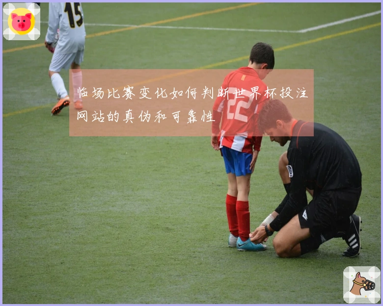 临场比赛变化如何判断世界杯投注网站的真伪和可靠性