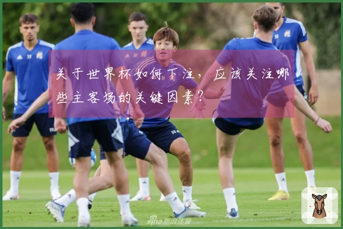 关于世界杯如何下注，应该关注哪些主客场的关键因素？