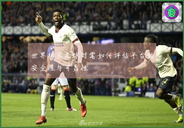 世界杯买足球时需如何评估平台的安全性与可靠性